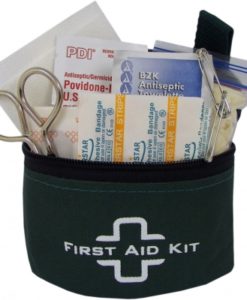 First Aid Essentials Kit